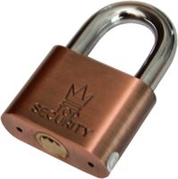 Padlock 50 mm, 3 keys