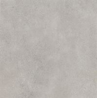 Porceline tiles Silkdust Light Grys Rekt.Polpoler 59,8*59,8 #S