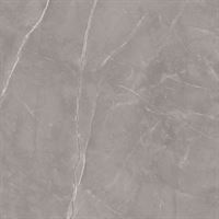 Porcelain tiles Ritual Grey Rekt. Mat. 120*120 #S