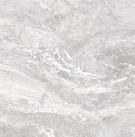 Porceline tiles Premium Grey 59,2*59,2