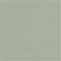 Sienų plytelės Neve Creative Green Poler 9,8*9,8 #S