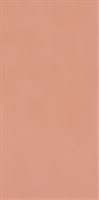 Sienų plytelės Neve Creative Blush Poler 9,8*19,8 #S