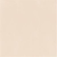 Sienas flīzes Neve Creative Beige pūlēts 19,8*19,8 #S