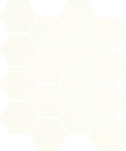 Attēls Mozaika Hexagon Bianco 22*25.5 #S