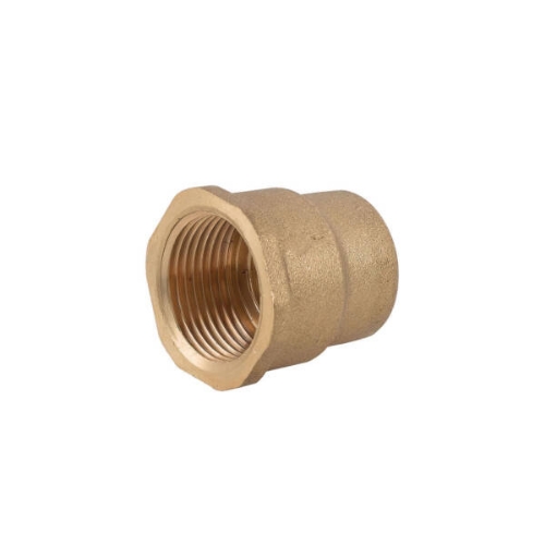 Picture of Brass coupling  2'-1'